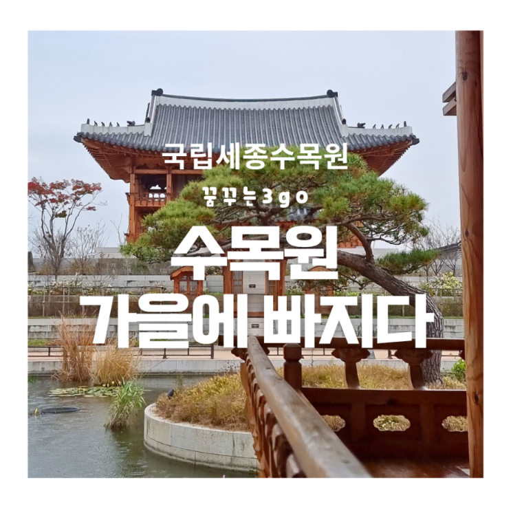 가을을 담다 국립세종수목원 한국전통정원