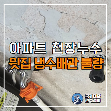  거실 천장 누수 원인 탐지 비용 및 보수 사례(구로구 아파트)