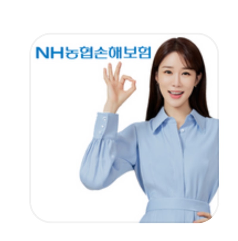 보험 카드 결제 . 보험 카드납부하는 방법(롯데손해보험, NH손해보험,메리츠화재,DB손해보험,....