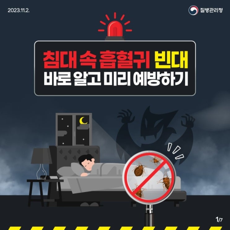  침대 속 흡혈귀 빈대 바로 알고 미리 예방하기