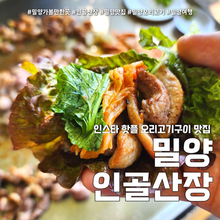 인골산장 밀양 오리고기 철판 구이 (feat. 밀양여행 시골뷰 인스타 핫플 )