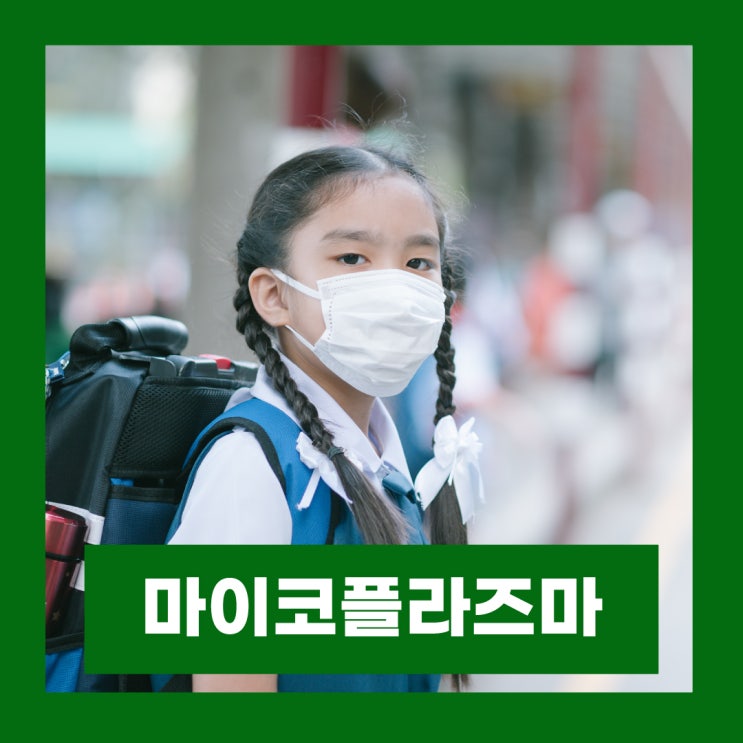  마이코플라즈마 폐렴 증상 전염 치료
