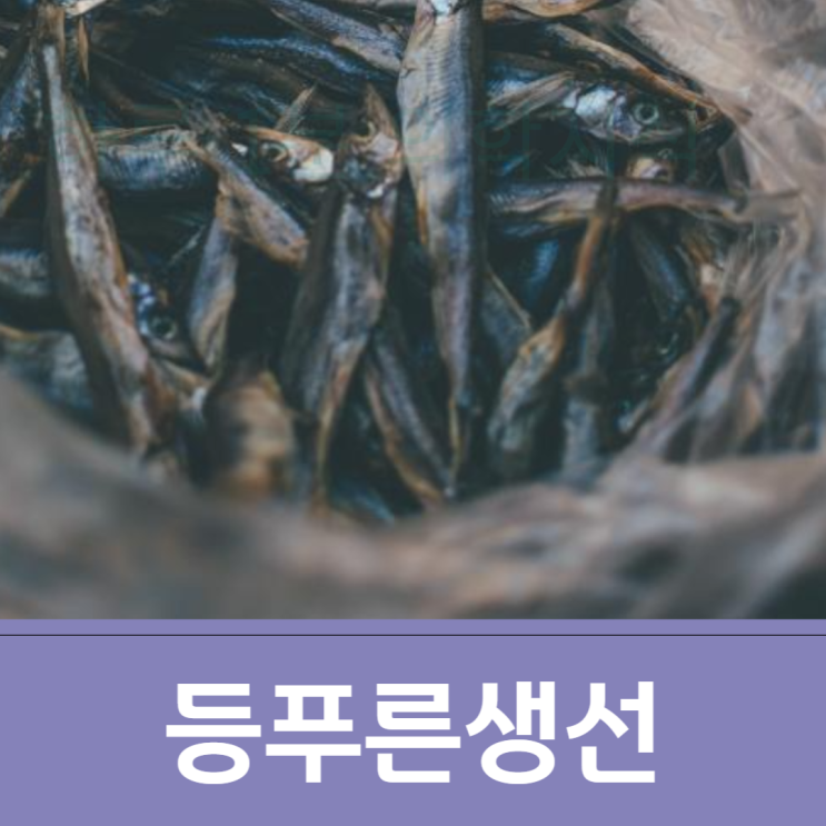  등푸른생선 종류 생선에 오메가 3가 많은이유