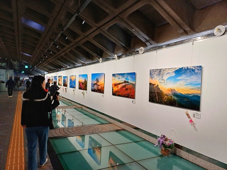  서울메트로미술관 무료전시회 한국산사진클럽