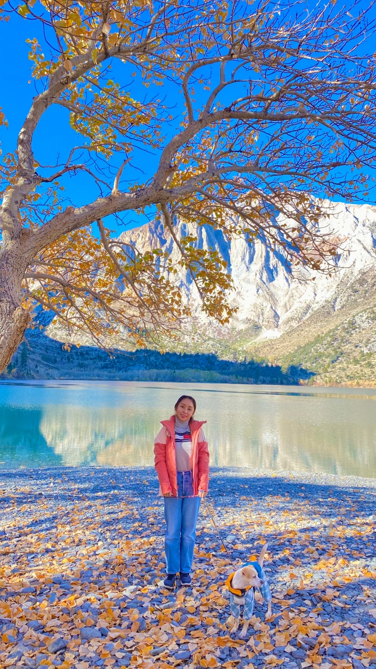  [캘리포니아 단풍여행/Mammoth Lakes] 요세미티 넘어 동가주여행, 파스텔빛 단풍이 예쁜 Convict Lake & Resort (콘빅트호수)