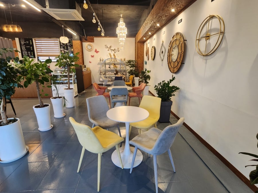 서가백 사진 3