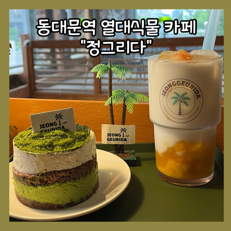  [동대문역] 흥인지문뷰의 열대식물 카페 "정그리다" 재재방문 내돈내산