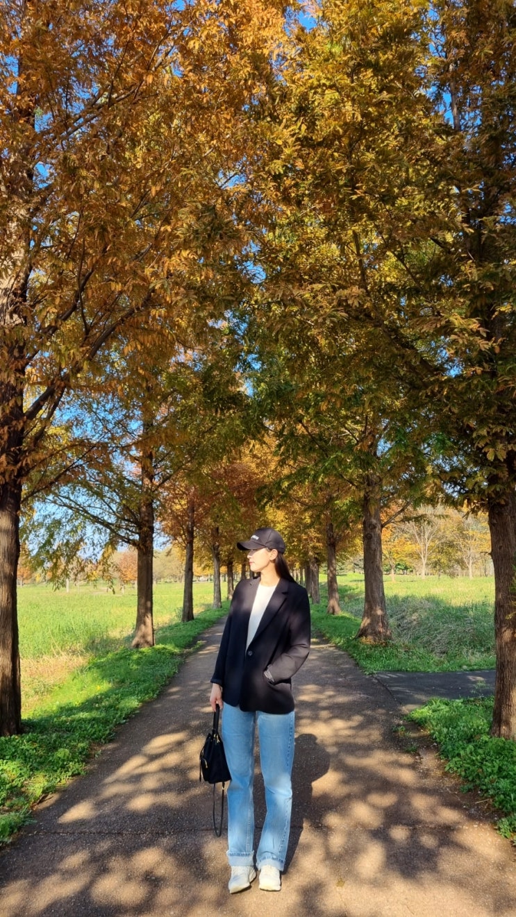  경기광주 가볼만한 곳, 가을에 산책하기 좋은 '팔당물안개공원' 주말 가을 단풍구경 (+주차장, 화장실 정보)