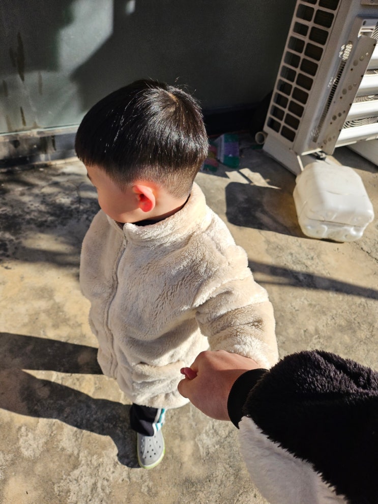  아빠의 육아 블로그) 아빠 육아일기 .<11월 둘째 주 일요일 산책>