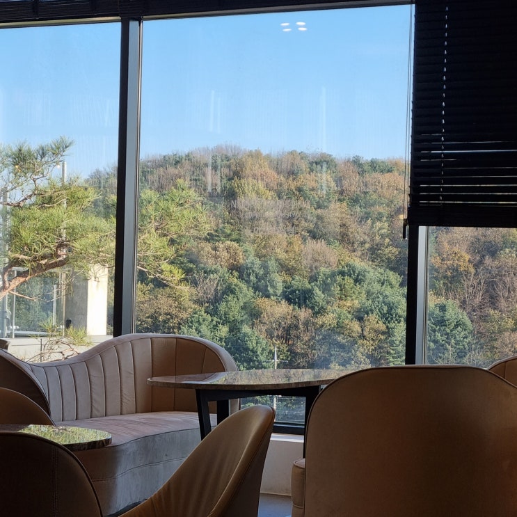  테니스를 잠시 맛봄 / 좋은 향기와 좋은 카페를 발견