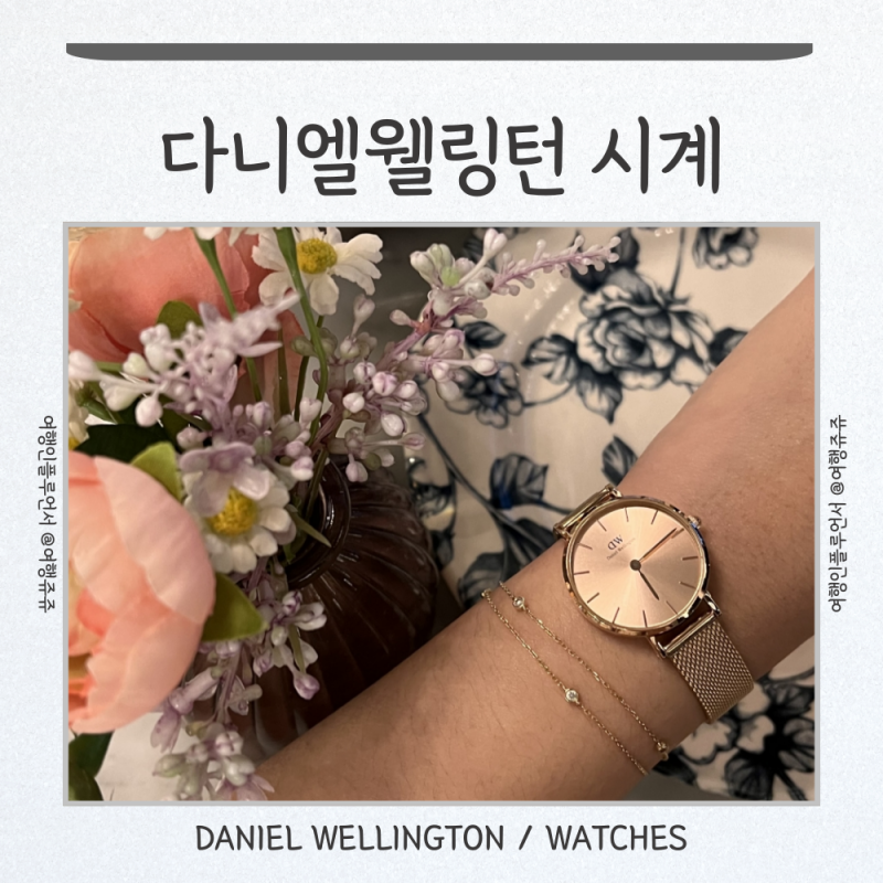 다니엘웰링턴 여성시계 사이즈 28 30 32 추천 : 시계줄 길이 조절 방법