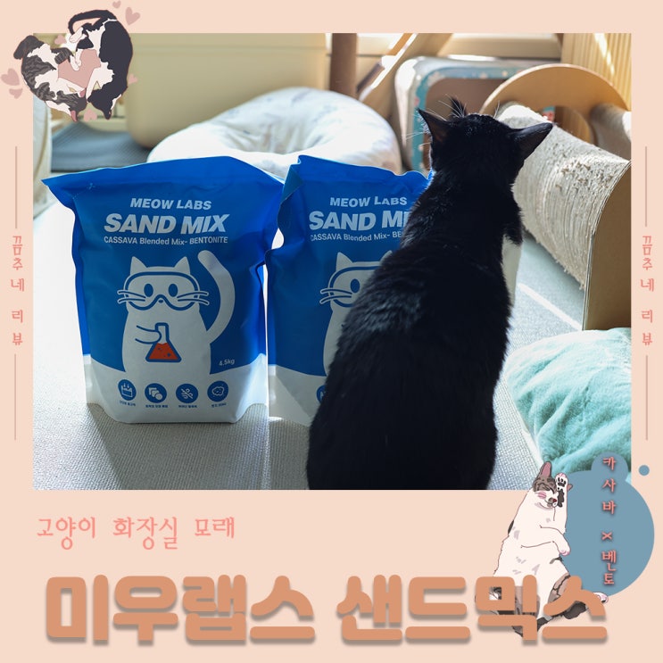  미우랩스 샌드믹스 먼지없는 카사바벤토나이트 블랜딩 고양이모래 추천