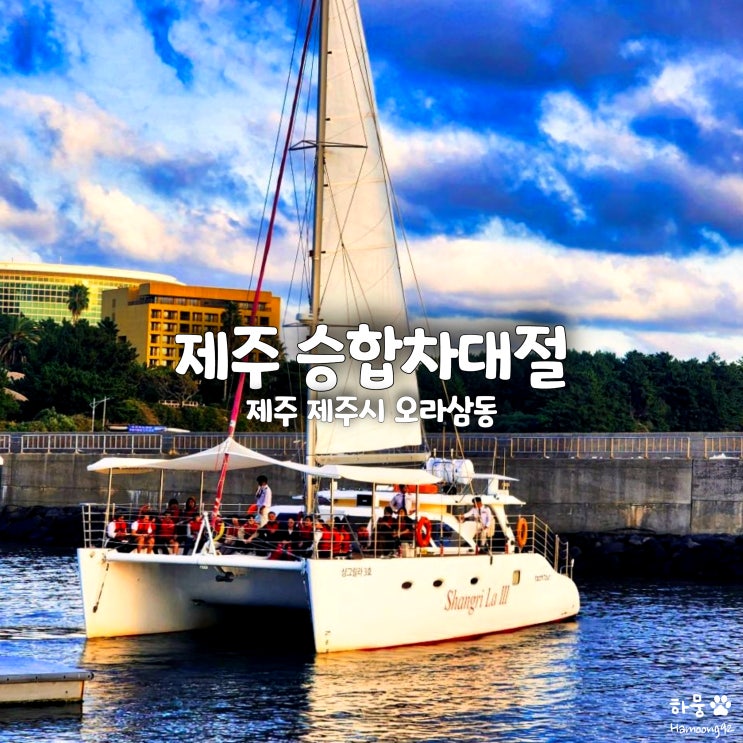  제주도 승합차 투어 만족하고 추천하는 이유