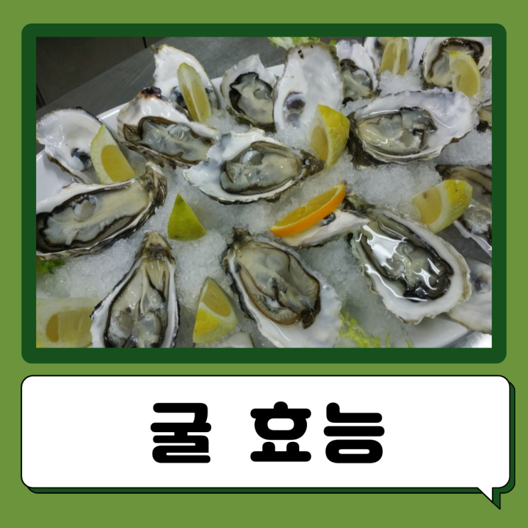  굴 석화 효능 칼로리 노로바이러스