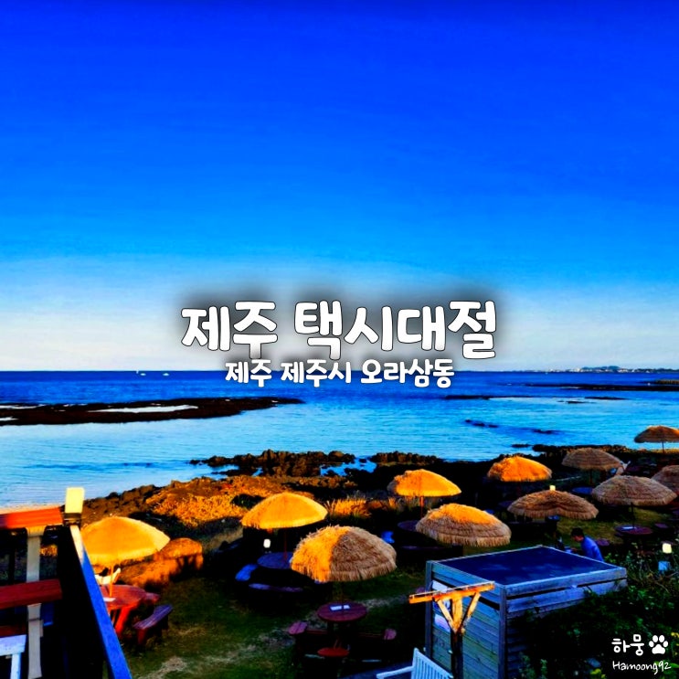  제주도 택시 대절 편하고 재미있는 11월 여행코스