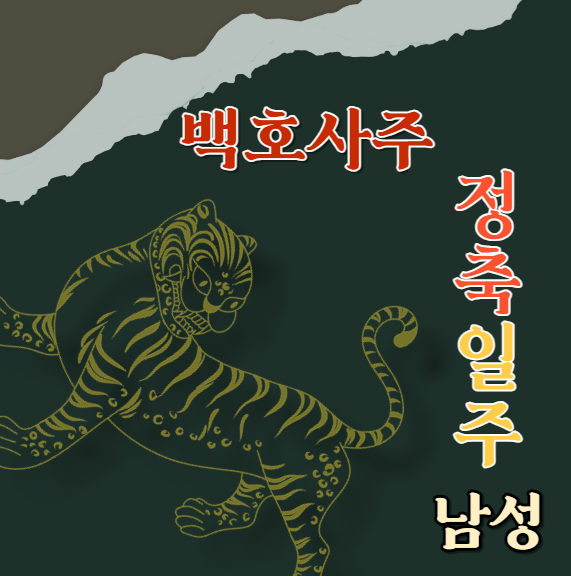  정축일주(丁丑) 남성에 대해 알아봅니다.