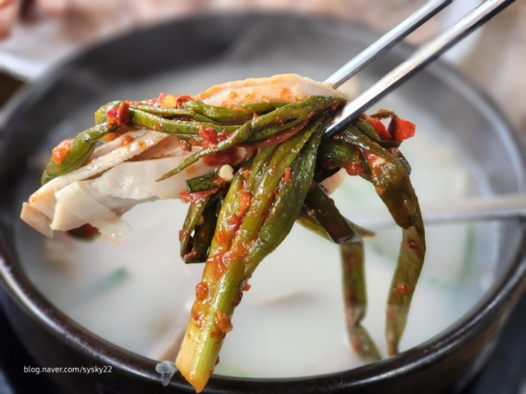  오소리감투 국밥 은평한옥마을 맛집 줄서서 먹는 시골순대국