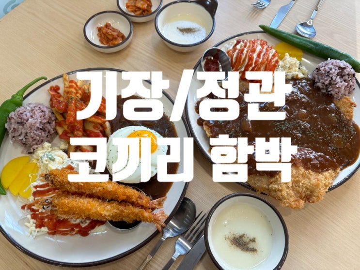  [부산 정관 밥집] 기장 함박 스테이크 코끼리 함박