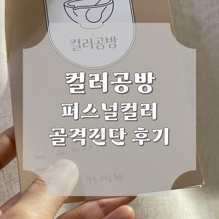 서울 강남 컬러공방에서 퍼스널 컬러와 골격 진단받은 후기