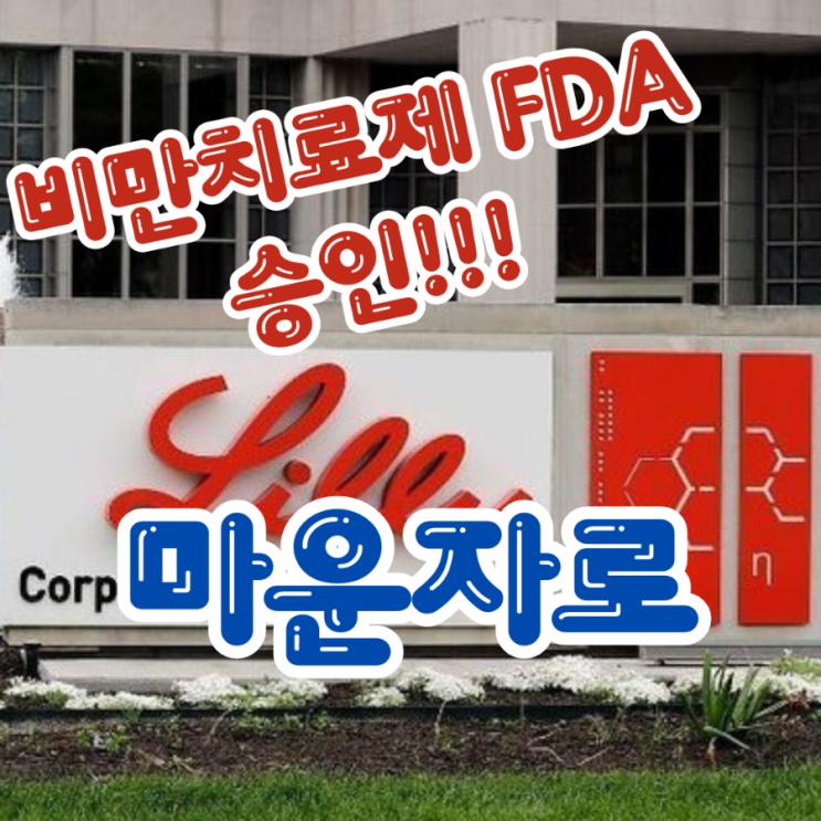  마운자로 비만 치료제로 정식허가-마운자로 국내 출시일 가격 관련주 부작용 위고비 삭센다 차이점