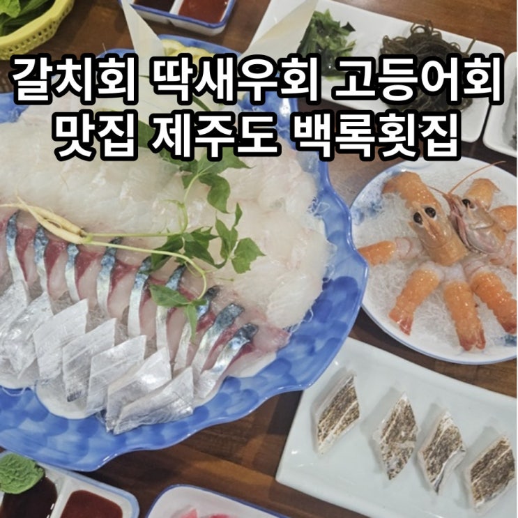  제주도 고등어 갈치 딱새우 해산물 맛집 백록횟집