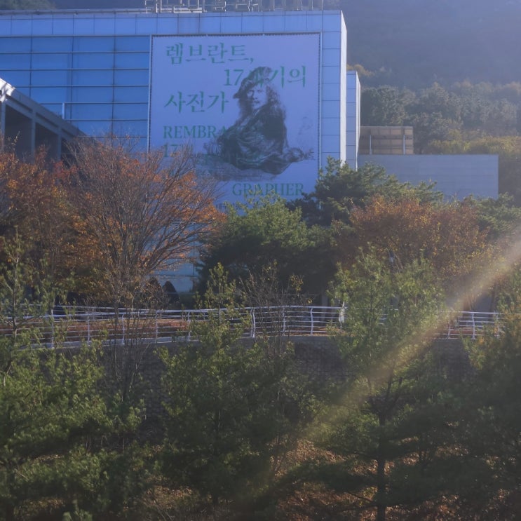  대구미술관 전시회 <렘브란트, 17세기의 사진가> 동판화의 매력을 느낄 수 있던 전시회