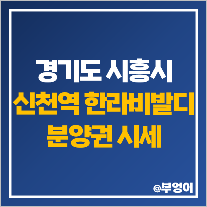 시흥시 아파트 분양권 매매 가격 순위 신천역 한라비발디 시세