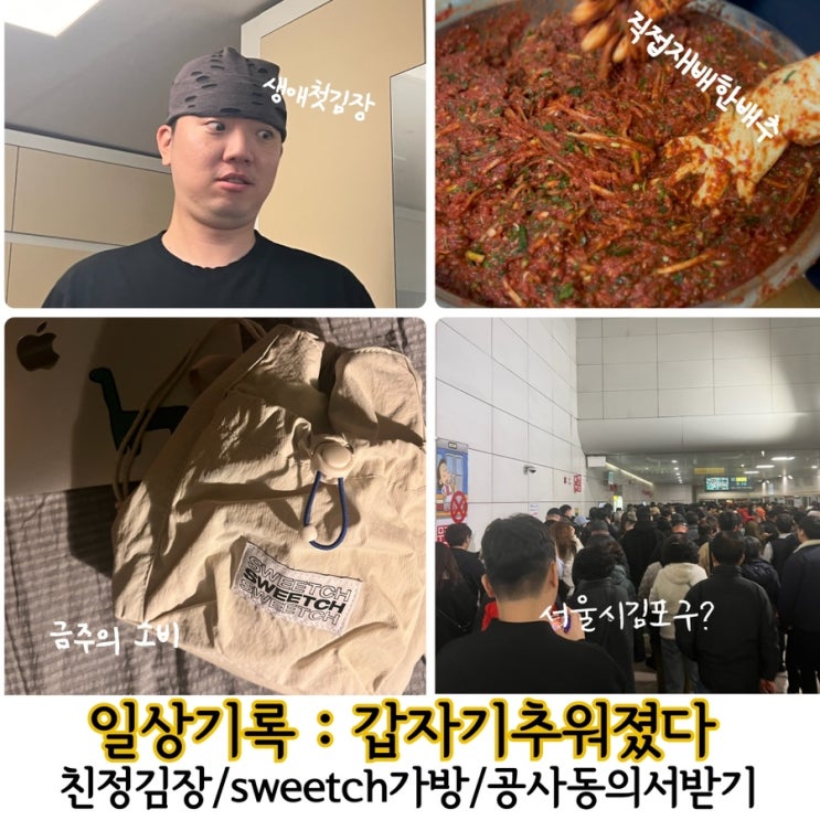  일상기록_ 김장참여하기/스위치미니백/서울시김포구(?)