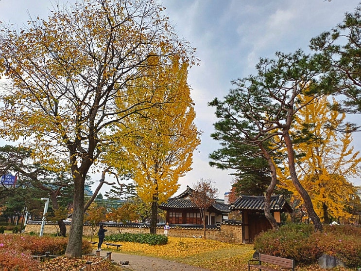  동춘당 공원 고즈넉한 대전 산책 가을 느끼기