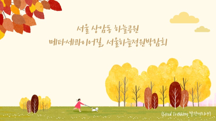 늦지 않았습니다. 나만의 가을을 예쁘게 보정해주는 곳 서울 상암동 하늘공원에서 도망가는 가을을 잡아보세요. 메타세쿼이아 길과 억새와 어우러진 서울정원박람회