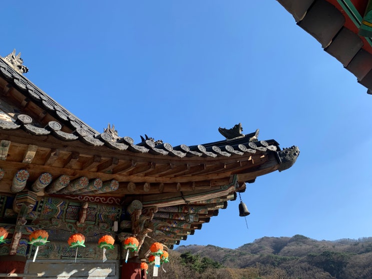  안양 근교 드라이브 청계산, 가볼만한 곳 의왕 청계사에서 쨍한 가을하늘 느끼고 왔습니다 - 내 주변 사찰 여행