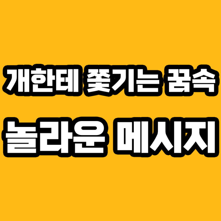  개한테 쫓기는 꿈 해몽: 불안의 상징인가, 기회의 전조인가?