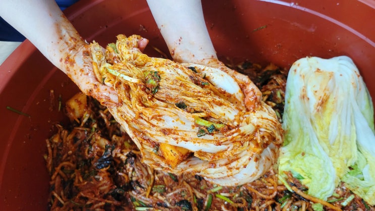  바다좋은 완도총각네수산물 해남절임배추20kg 신선한 김장배추로 김장 끝!