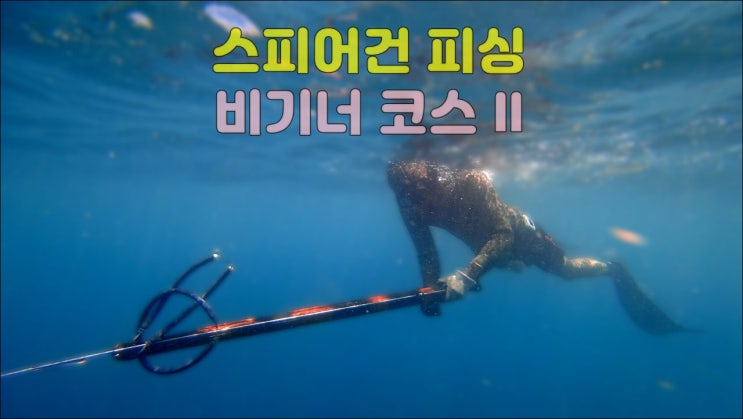  발리 스피어건 피싱 비기너2 코스