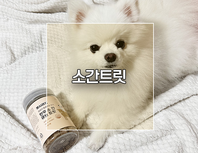  부담없는 뽀시래기 강아지 동결건조간식 소간트릿