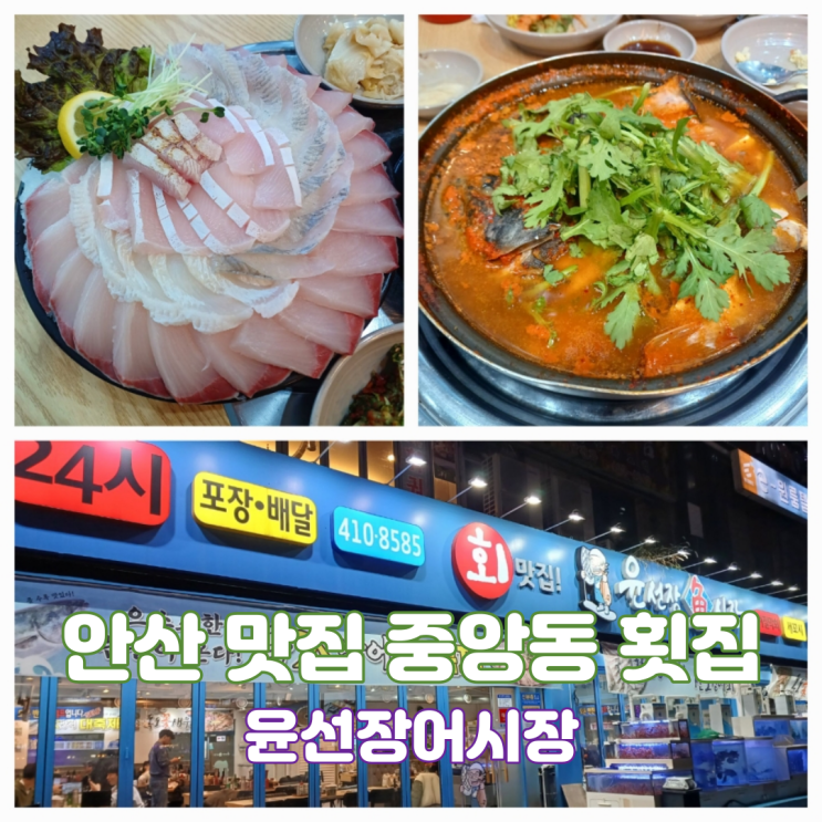 안산 맛집 제철 특대방어가 맛있는 중앙역횟집 윤선장어시장 안산고잔중앙역점 안산 맛집 제철 특대방어가 맛있는 중앙역횟집 윤선장어시장 안산고잔중앙역점
