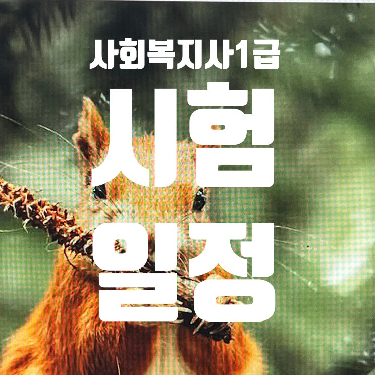 사회복지사1급시험 일정 과목과 변경사항