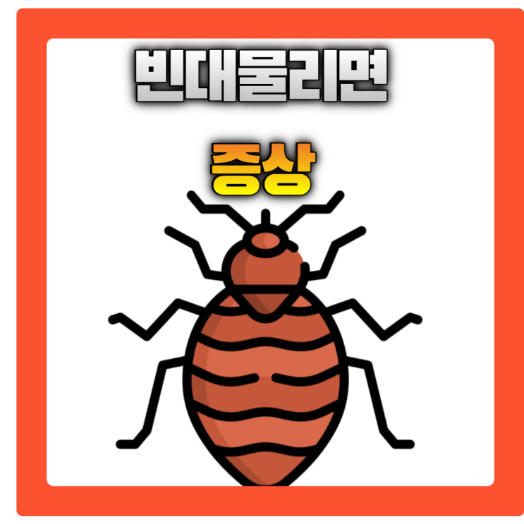  빈대 물리면 증상 및 빈데 퇴치법 알아보기