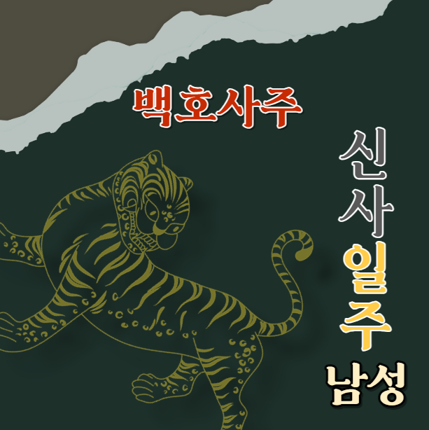  신사일주 辛巳 남성에 대해 알아봅니다.