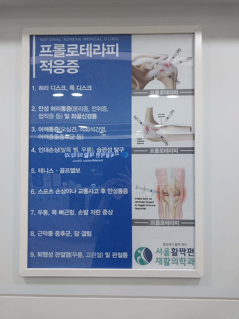 다양한 주사 치료(히알루론산, 프롤로, PRP, 스테로이드)의 원리와 효과는? — 본문 그림