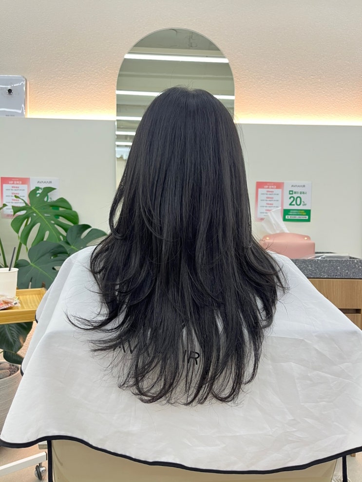  양천구/목동역미용실 에이바헤어 신정네거리역점 시세이도 클리닉 세환팀장님께 받은 솔직후기와 할인정보