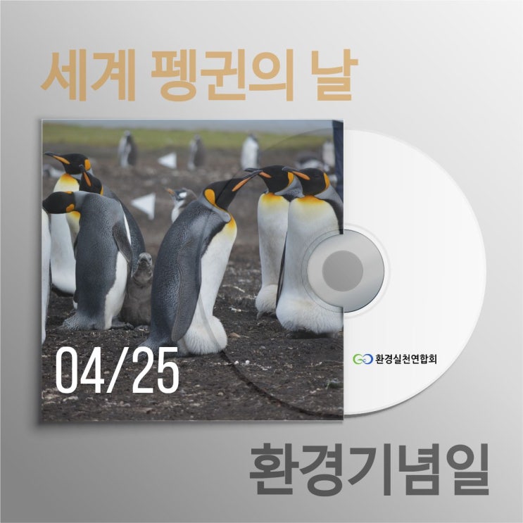  펭귄의 날