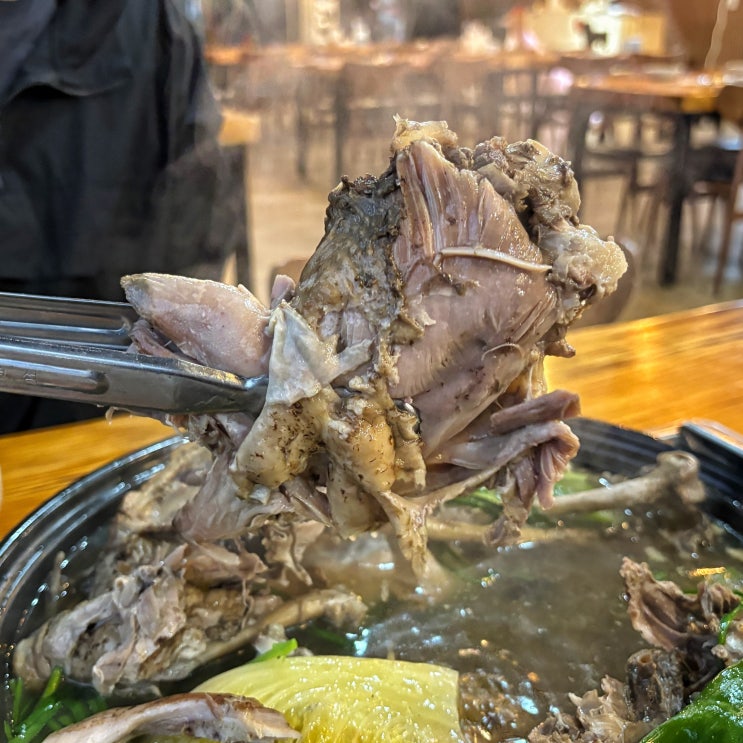  춘천 강촌 백숙 맛집, 엘리시안 파가니카 근처 현지인 추천 강촌마루능이백숙