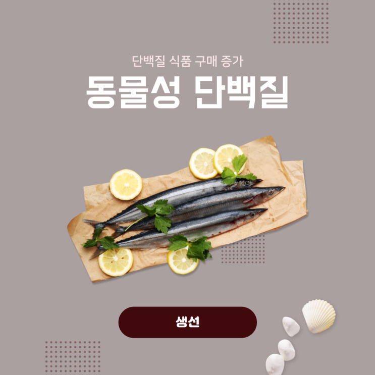  [헬시플레저/단백질] 단백질 식품 구매 증가세 분석 /단백질 섭취량/필수아미노산/동물성 단백질 vs 식물성 단백질/근육감소증 예방