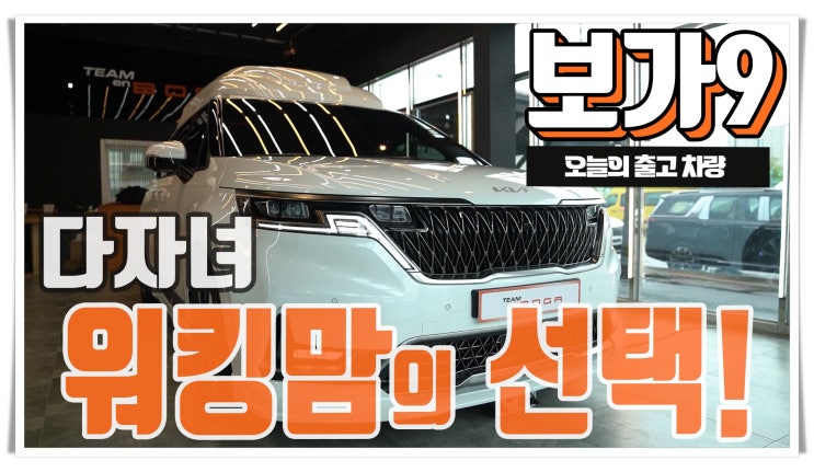  엄마의 사랑이 느껴지는 카니발 하이리무진 보가9 프리미엄