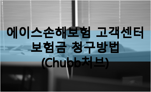 에이스손해보험 고객센터 보험금 에이스손해보험 고객센터 전화번호청구방법 (Chubb처브)