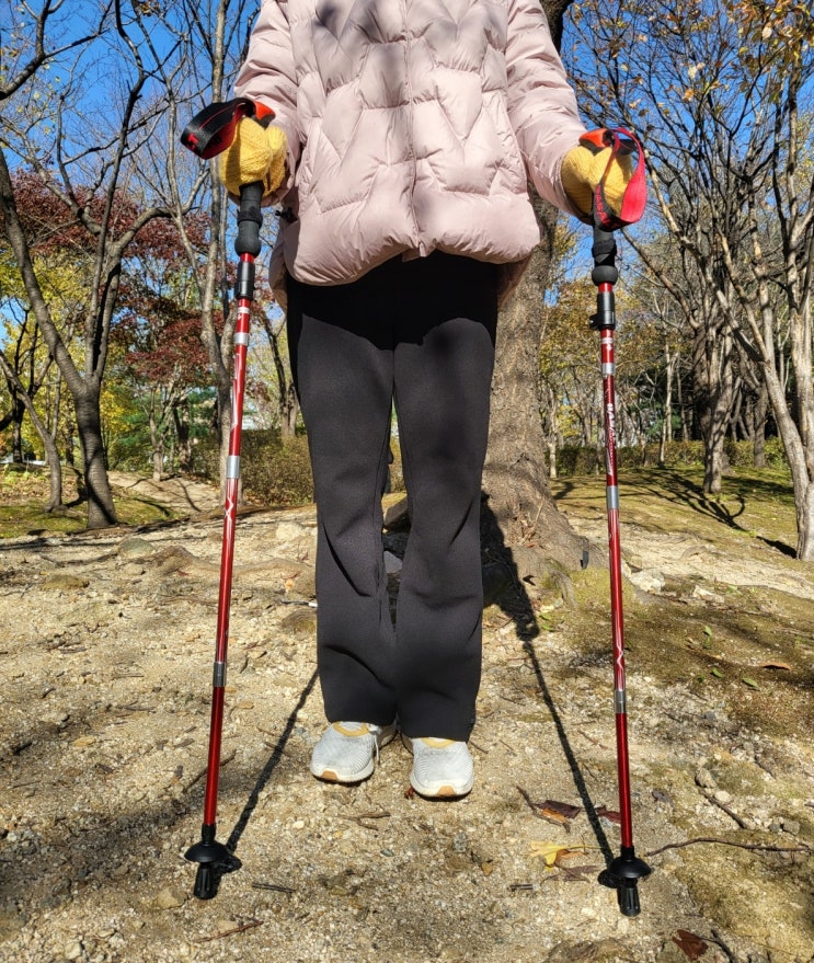 등산지팡이 고르는법 가볍고 튼튼한 모버디 접이식 스틱