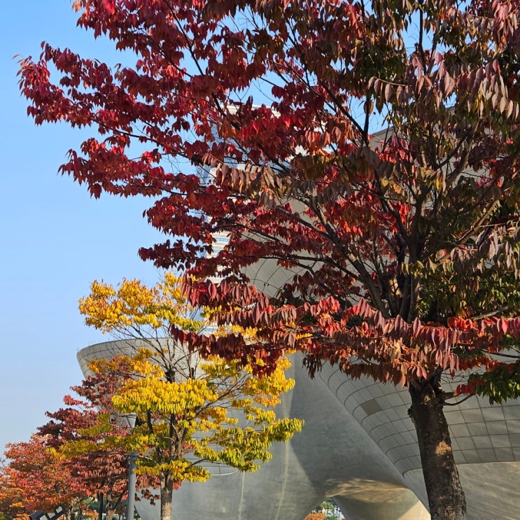  '23. 스물일곱번째 일상, 당연하지만 소중한 것들