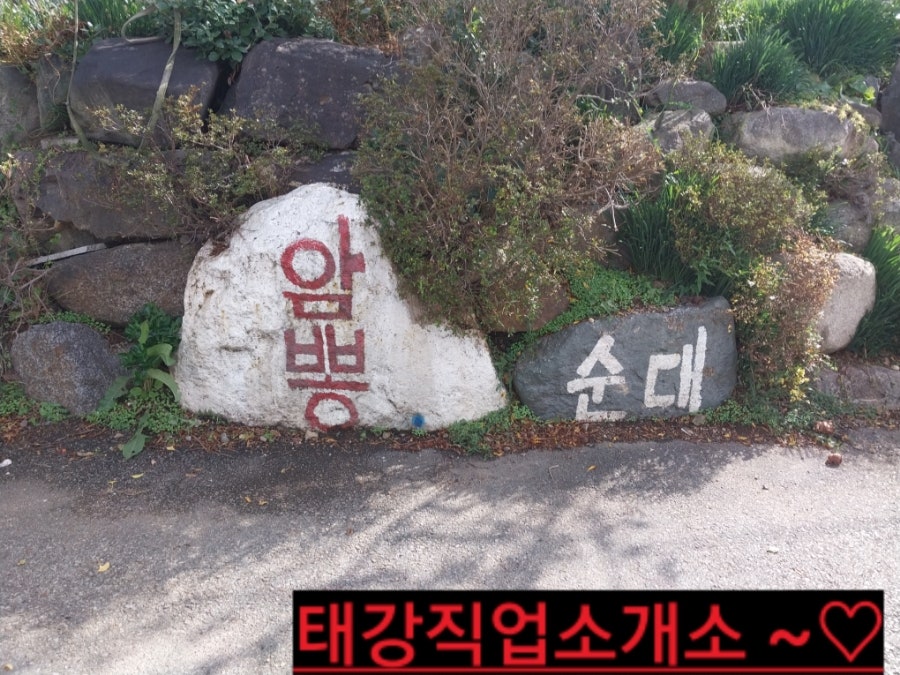 군계암뽕순대 사진 2
