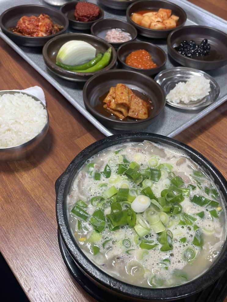 [순천] 애정하는 마로니에 국밥